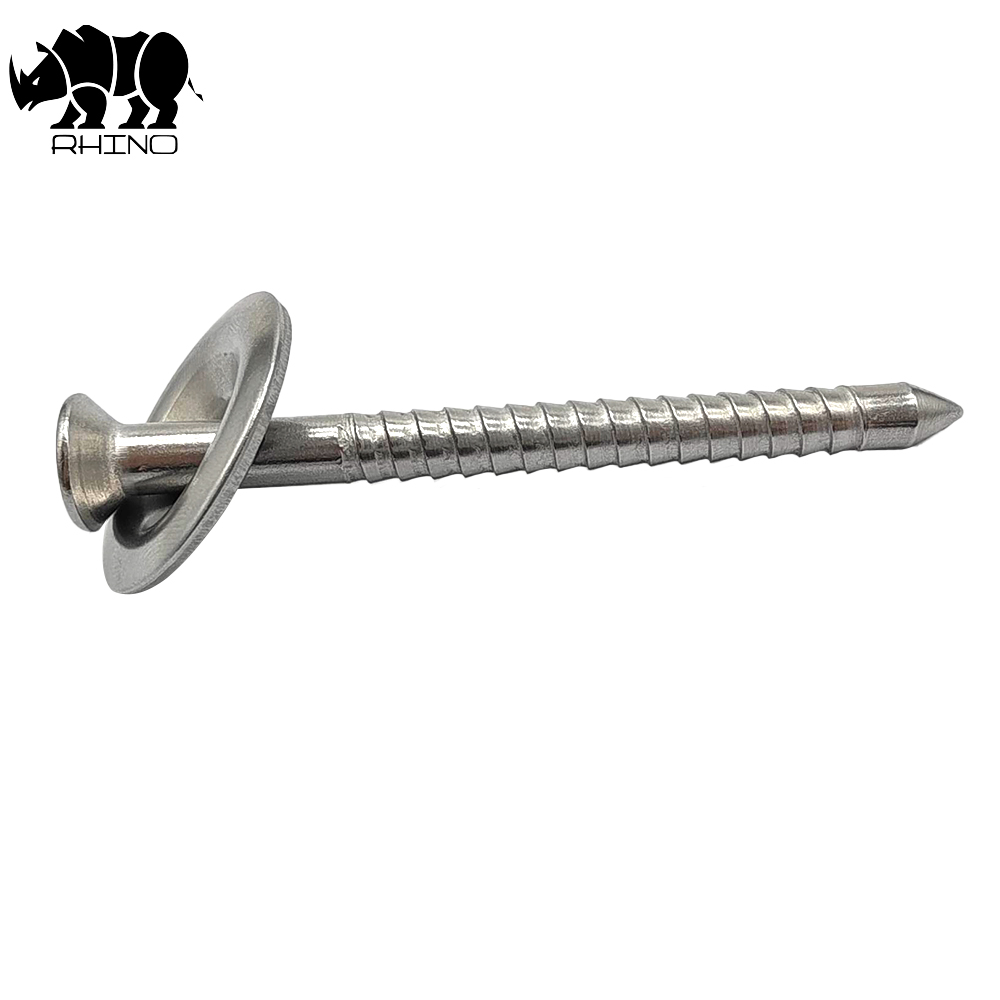 304 Ss Roof Nail Screw With a Cap
