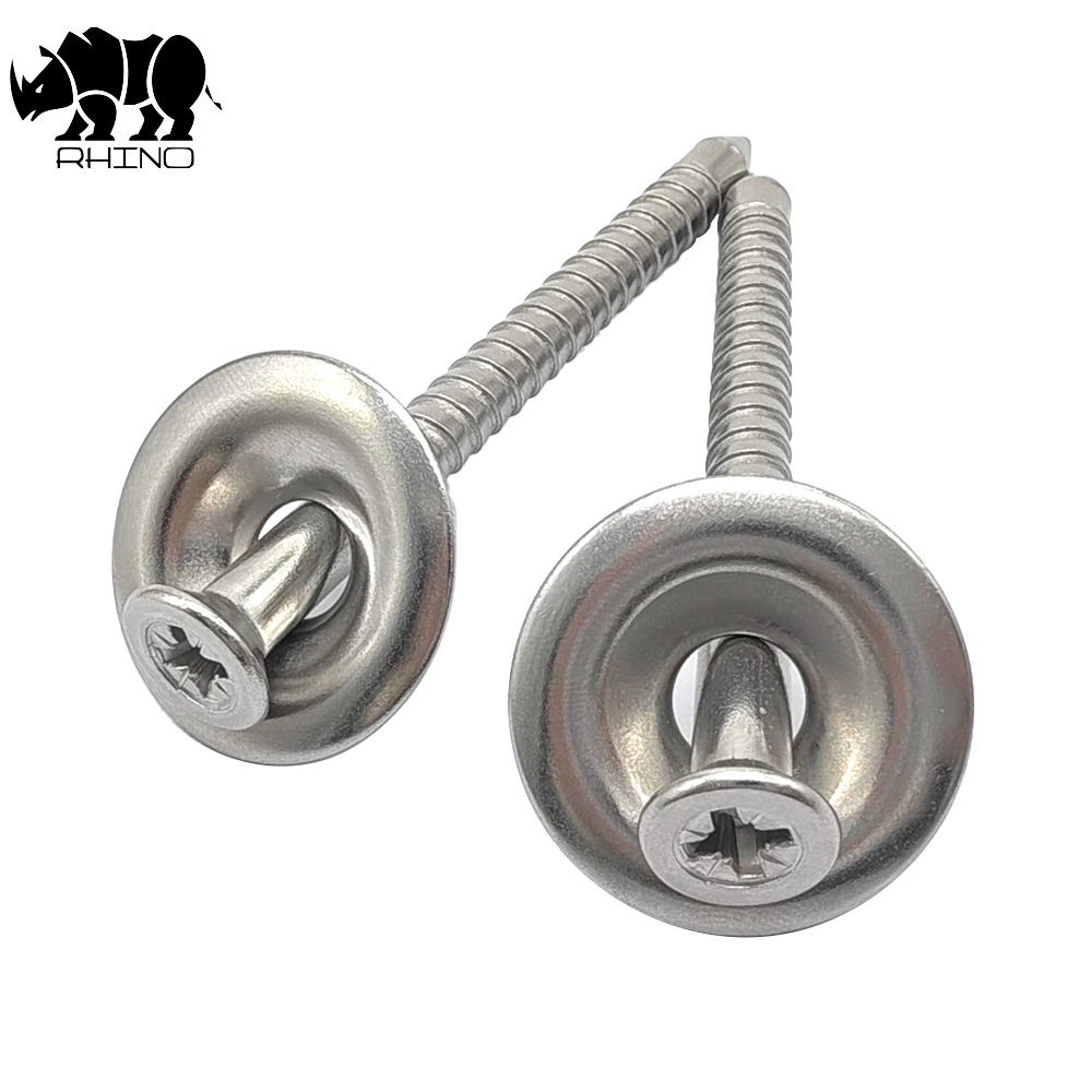 304 Ss Roof Nail Screw With a Cap