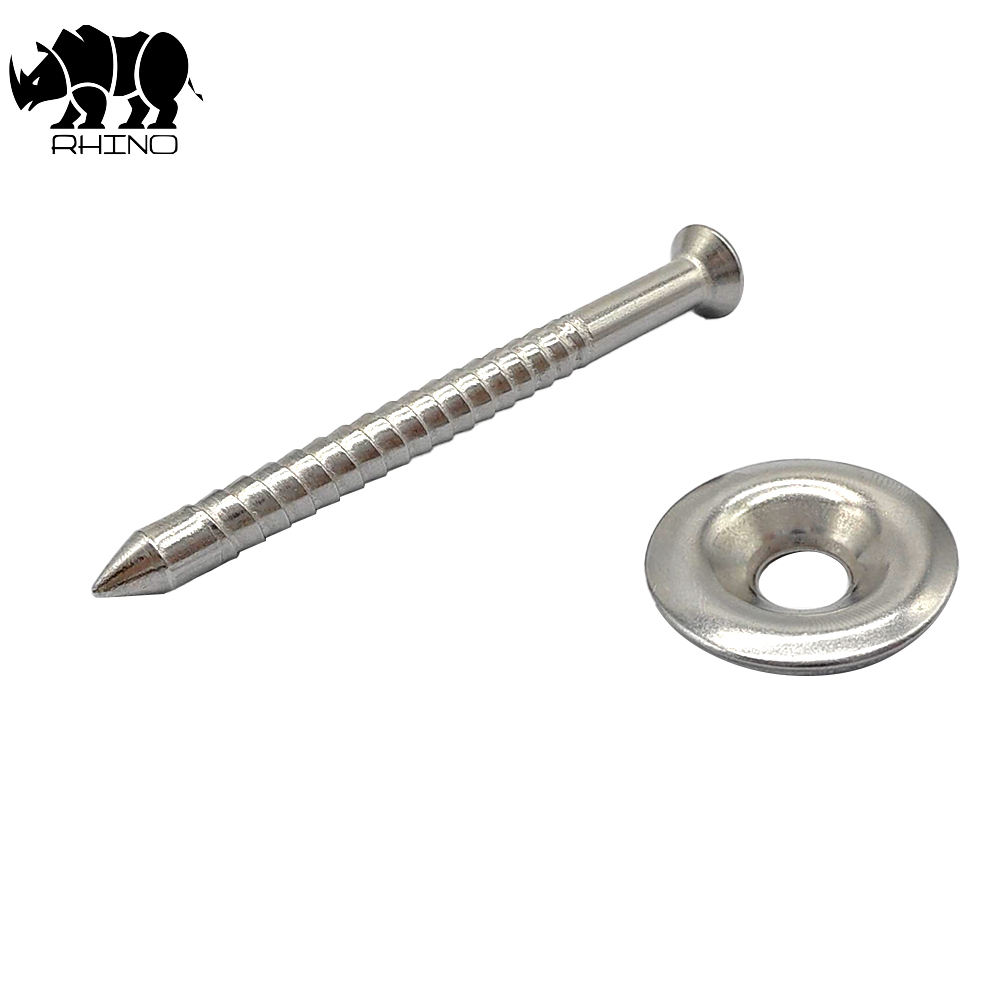 304 Ss Roof Nail Screw With a Cap