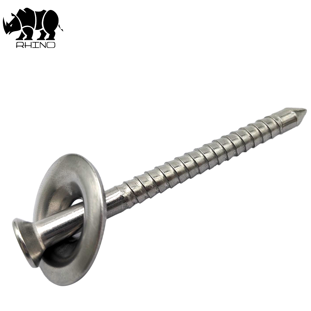 304 Ss Roof Nail Screw With a Cap