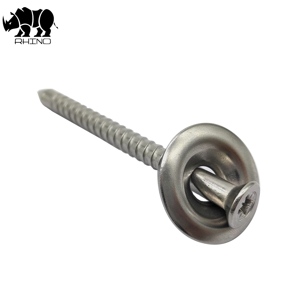304 Ss Roof Nail Screw With a Cap
